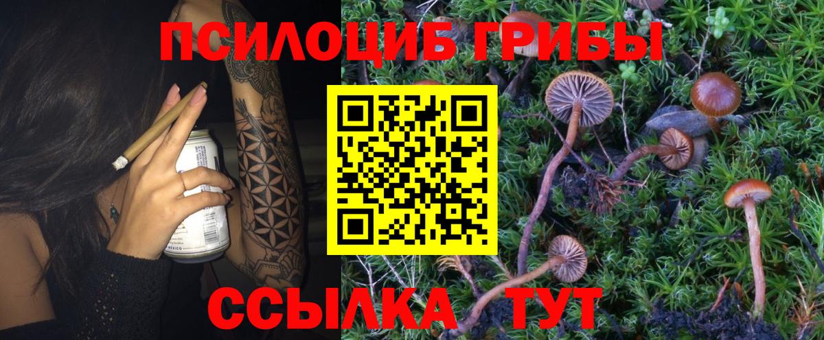Псилоцибиновые грибы Psilocybine cubensis  Вход с VPN  Дагестанские Огни  Псилоцибиновые грибы Cubensis 